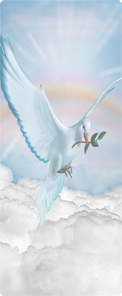 Dove Clouds Blue